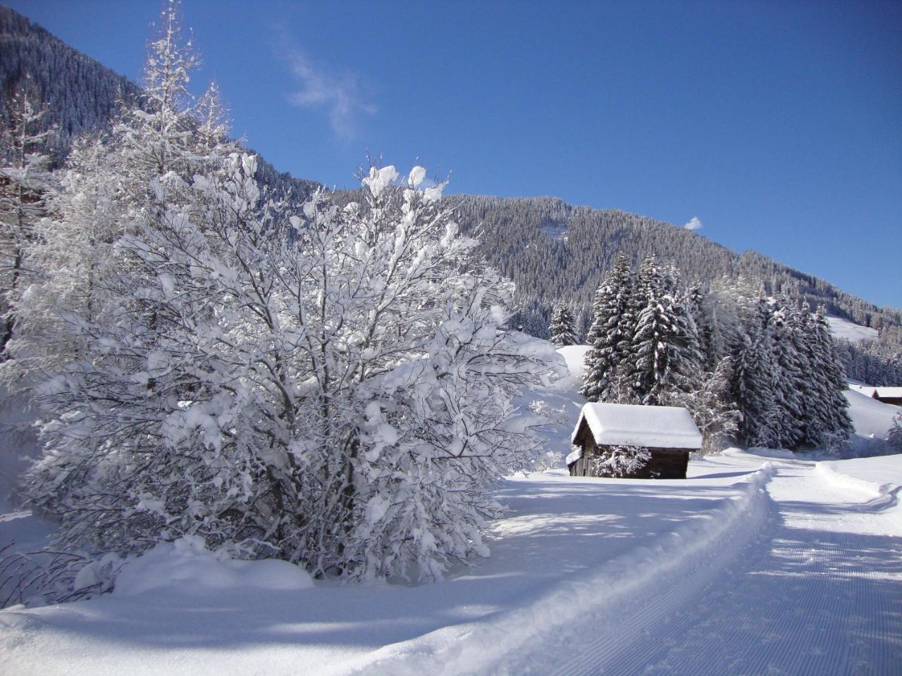 Haus Annemarie Apartments Kartitsch - Hochpustertal Екстер'єр фото